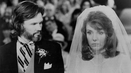 Zwei ausgebuffte Profis Bild 2