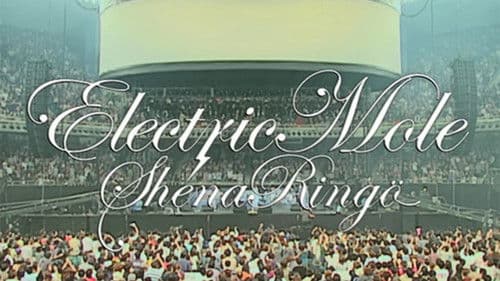 エレクトリック・モール Bild 4