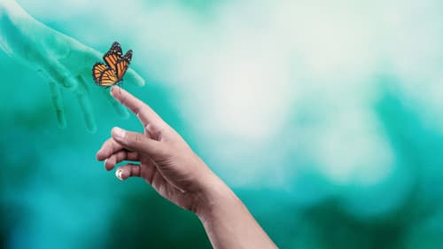 Jenseits des Todes Bild 1