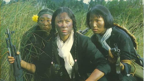 Operation Eastern Condors Bild 8