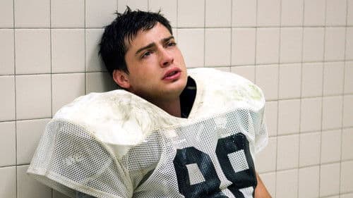 Chasing a Dream Bild 6