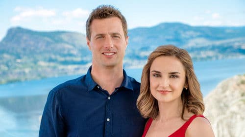 Summer in the Vineyard Bild 5