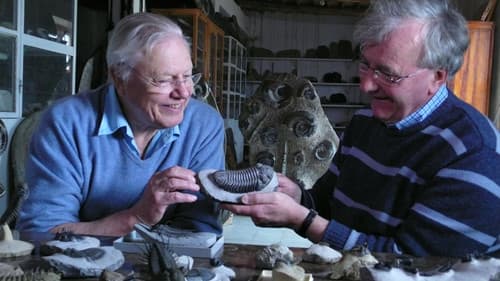 Attenborough at 90: Behind the Lens Bild 4