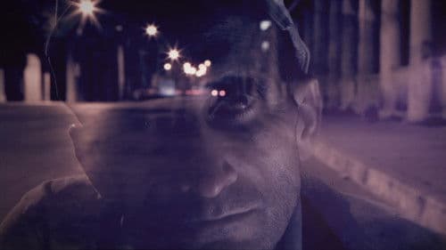 Cisne Cuello Negro, Cuello Blanco Bild 1