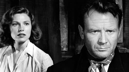 The Long Memory Bild 1