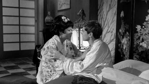 Mi vedrai tornare Bild 6