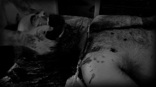 Infidus - Es ist nur ein Film! Bild 1