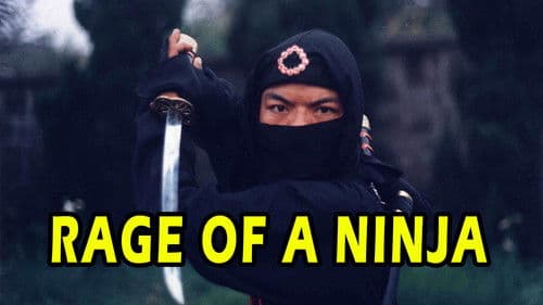 Rage of a Ninja Bild 2