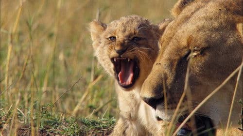 Aufwachsen in der Wildnis Bild 3