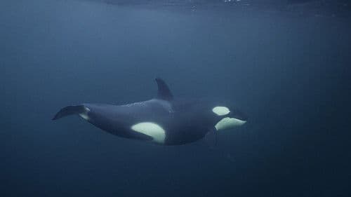 Magie der Fjorde Bild 1