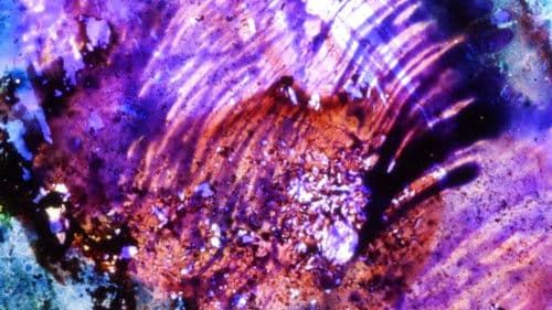 Elementary Phrases Bild 1