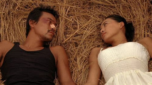 一半海水一半火焰 Bild 1