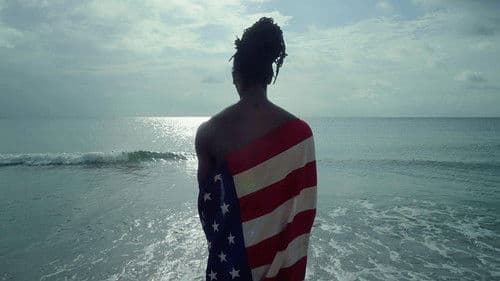 The 1619 Project Bild 5