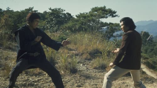 The Street Fighters Last Revenge Bild 7