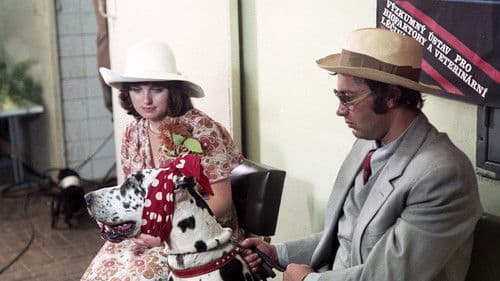 Miluška a její zvířátka Bild 4