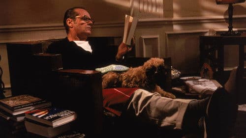 Besser geht's nicht Bild 5