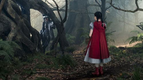 Into the Woods Bild 5