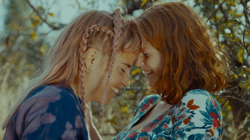 Der Venuseffekt Bild 1