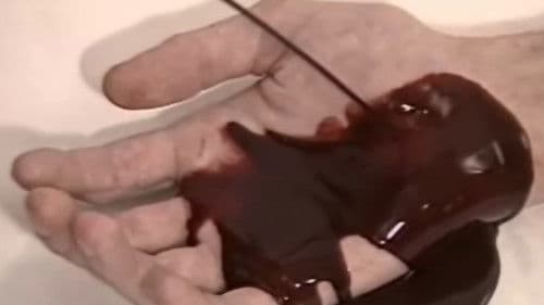 The Action Art of Hermann Nitsch from Past to Present Bild 8