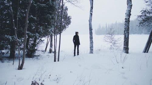 The Oxbow Cure Bild 2