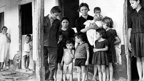 Cabra Marcado Para Morrer Bild 3