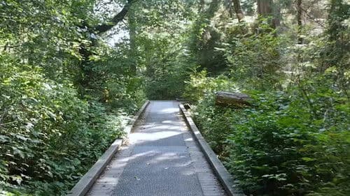 The Lost Vlog of Ruby Real Bild 1