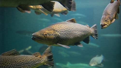 Magie der Fjorde Bild 2