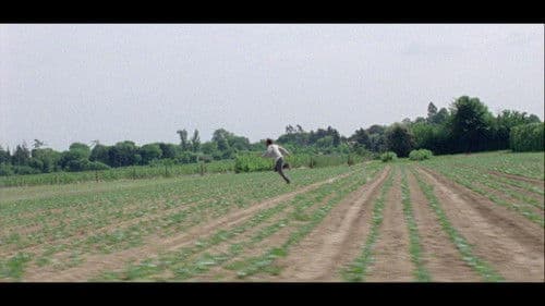 Sunny Life Farms Bild 5