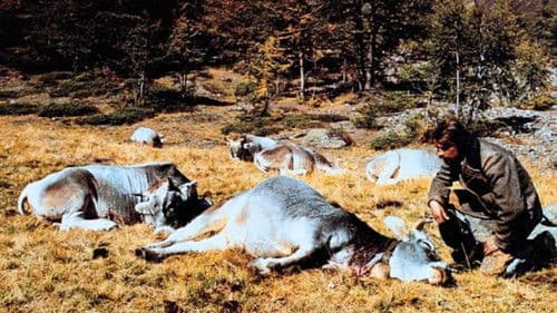 Jägerschlacht Bild 2