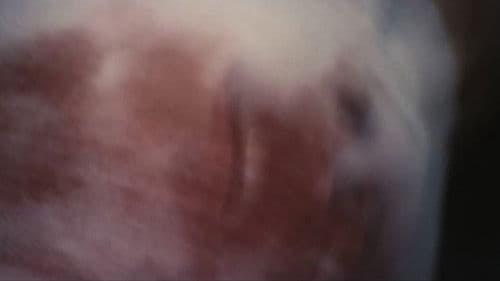 愛に濡れたわたし Bild 5