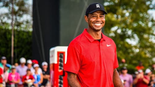 25 Years of Tiger Bild 2