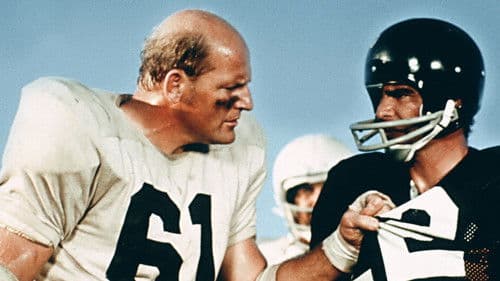 Die Kampfmaschine Bild 6