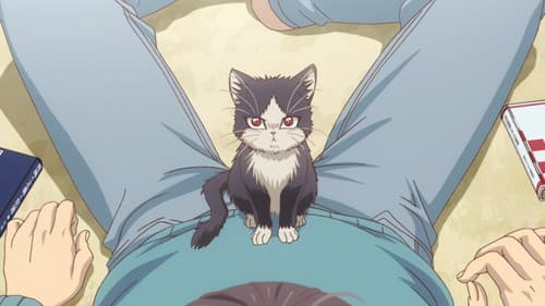 My Roommate is a Cat Bild 5