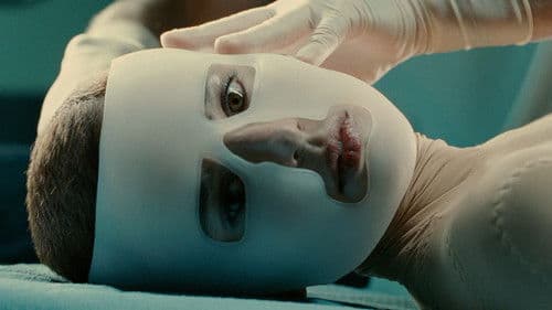 Die Haut, in der ich wohne Bild 8