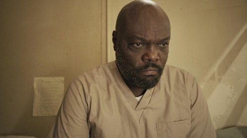 Shelter in Solitude Bild 1