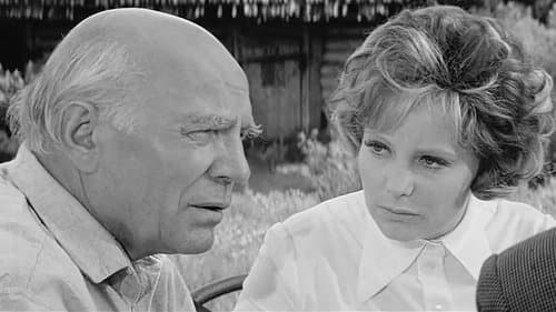 Šahs briljantu karalienei Bild 1