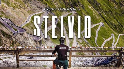 Stelvio Bild 2