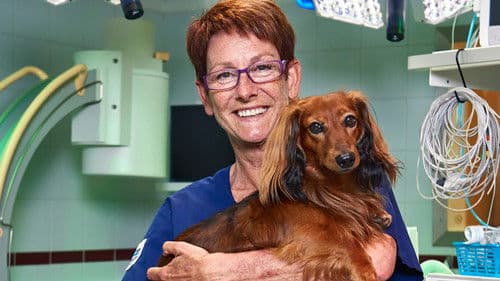 I djurens tjänst Bild 3