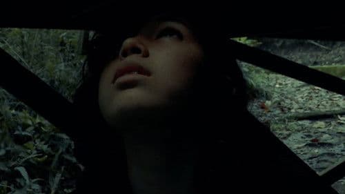 Luz en la oscuridad Bild 1