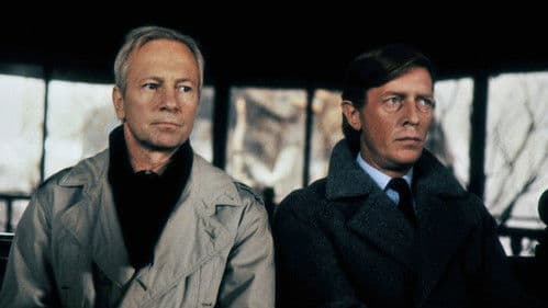 Der Mann aus Mallorca Bild 6