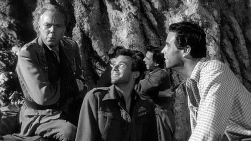 Ill Met by Moonlight Bild 1