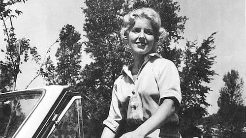 The Prime Time Bild 2