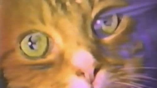 A Study In Scarlet Bild 1