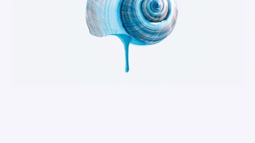 Das tiefste Blau Bild 8