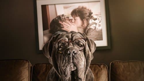 Der Hund bleibt Bild 1