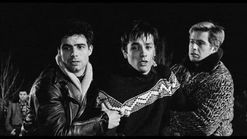 Rocco und seine Brüder Bild 6