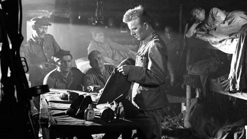 Krzyż Walecznych Bild 4