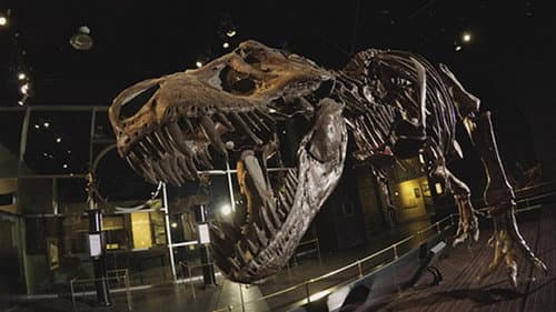 Dinosaur Extinction: Behind the Asteroid Impact Theory Bild 1