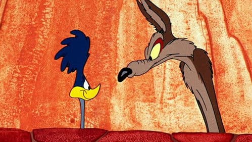 Vogelfang nach Kojotenart Bild 2