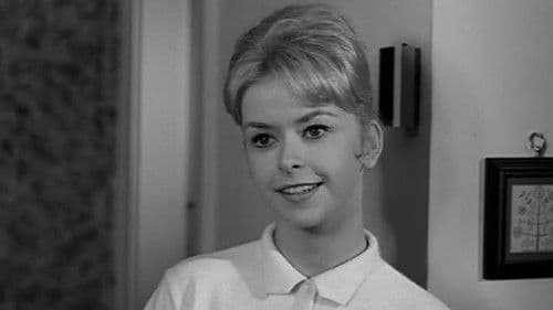 Violent Midnight Bild 5